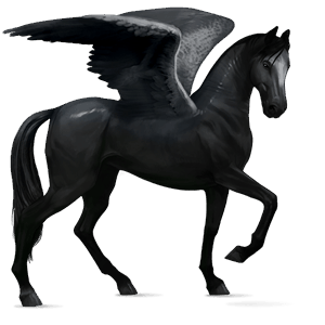 pegaz wierzchowy koń holsztyński ciemnogniada