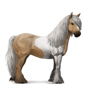 koń wierzchowy koń holsztyński jasnokasztanowata