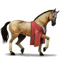 koń pociągowy koń ban´ei kasztanowata