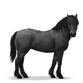 koń z prehistorycznej kolekcji leśny koń