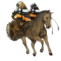 koń wierzchowy koń luzytański cremello