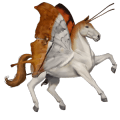 koń wierzchowy koń holsztyński skarogniada