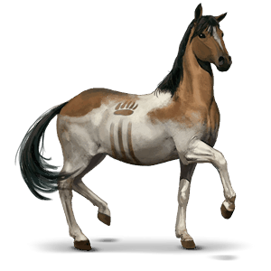 koń z dzikiej kolekcji chincoteague