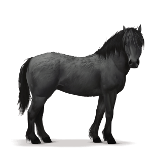 koń z prehistorycznej kolekcji leśny koń