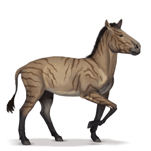 koń z prehistorycznej kolekcji hipparion