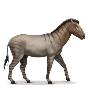 koń z prehistorycznej kolekcji hippidion