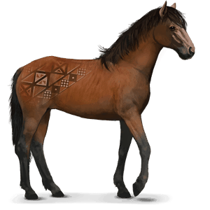 koń z dzikiej kolekcji koń kundudo