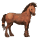 koń wierzchowy koń achał-tekiński ciemnokasztanowata