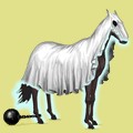 miniature.jpg?975083578