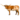 krowa longhorn