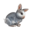 compagnon-lapin.png?1828806360