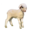 compagnon-mouton.png?1828806360