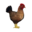 compagnon-poule.png?1828806360