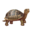 compagnon-tortue.png?1828806360