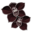 Prezentacje z kodem HTML Orchidee-noire