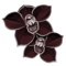 Kolorowanka ^^ Orchidee-noire