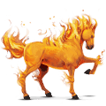 koń wierzchowy Żywioł ognia