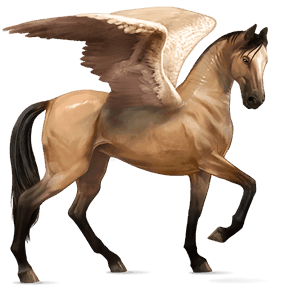pegaz wierzchowy quarter horse skarogniada