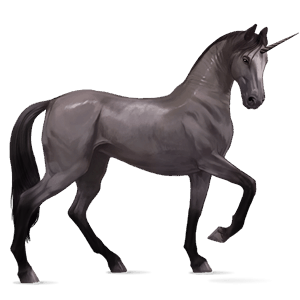 jednorożec wierzchowy appaloosa kasztanowata leopard