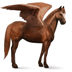 pegaz wierzchowy quarter horse kasztanowata