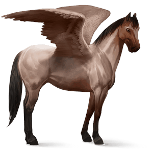 pegaz wierzchowy quarter horse dereszowata