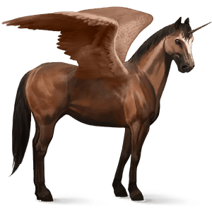 skrzydlaty jednorożec wierzchowy quarter horse ciemnogniada