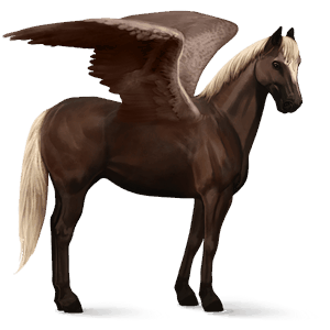 pegaz wierzchowy quarter horse brudnokasztanowata