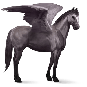 pegaz wierzchowy mustang jasnosiwa