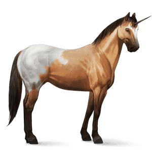 jednorożec wierzchowy quarter horse skarogniada