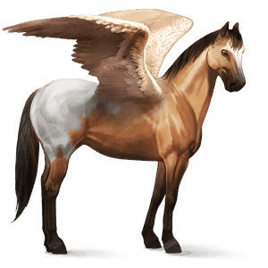 pegaz wierzchowy tennessee walker jasnosiwa
