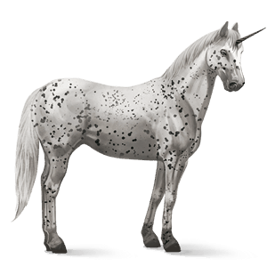 jednorożec wierzchowy appaloosa kara leopard