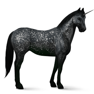 jednorożec wierzchowy appaloosa kasztanowata leopard
