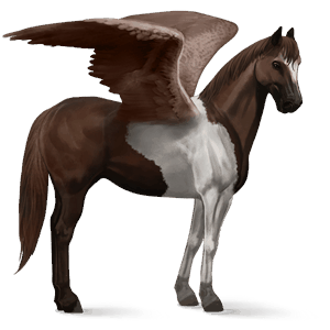 pegaz wierzchowy tennessee walker izabelowata