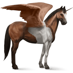 skrzydlaty jednorożec kuc  haflinger jasnokasztanowata