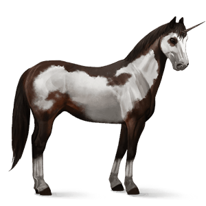 jednorożec wierzchowy mustang kasztanowata