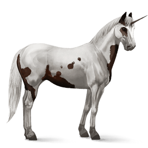 jednorożec wierzchowy mustang jasnosiwa