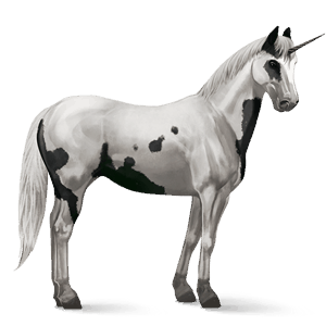 jednorożec wierzchowy quarter horse jasnokasztanowata