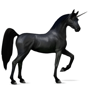 jednorożec wierzchowy tennessee walker bułana