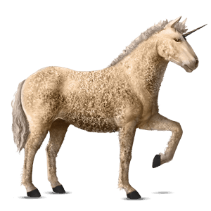 jednorożec wierzchowy appaloosa ciemnogniada derka