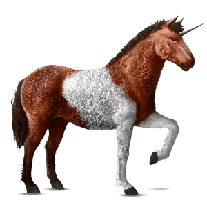 jednorożec wierzchowy bashkir curly kasztanowata tobiano