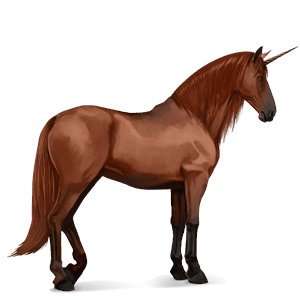 jednorożec wierzchowy appaloosa kara