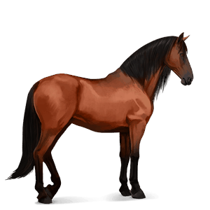 koń wierzchowy quarter horse jasnokasztanowata