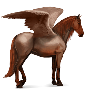 pegaz wierzchowy tennessee walker brudnokasztanowata