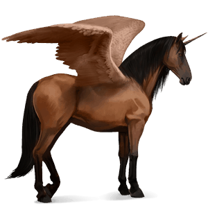 skrzydlaty jednorożec wierzchowy quarter horse gniada