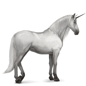 jednorożec wierzchowy camargue jasnosiwa