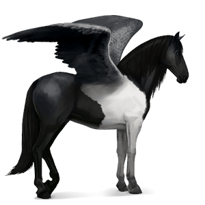 pegaz wierzchowy quarter horse izabelowata