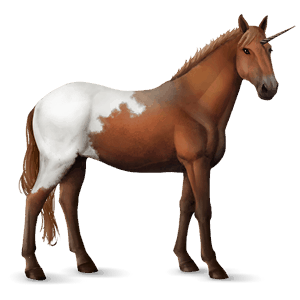 jednorożec wierzchowy appaloosa kasztanowata derka