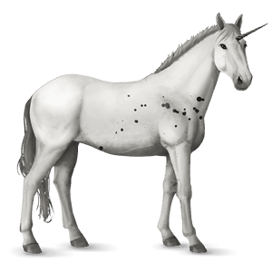 jednorożec wierzchowy mustang ciemnogniada
