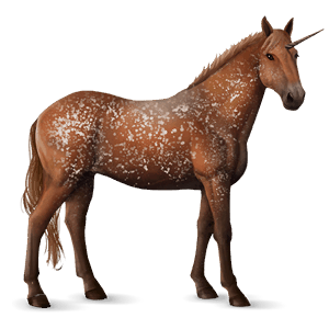 jednorożec wierzchowy appaloosa izabelowata derka