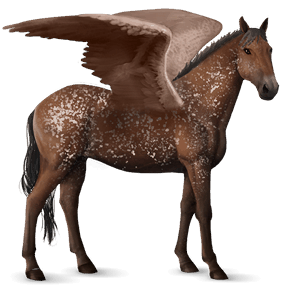 pegaz wierzchowy tennessee walker ciemnogniada